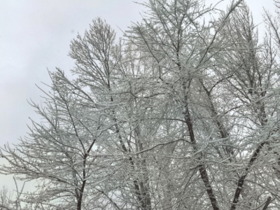 Циклон надвигается на Хабаровск: ожидается первый снег этого сезона