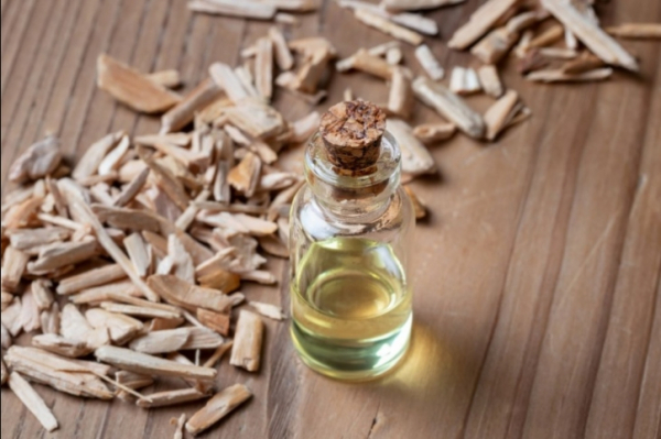 Эндокринолог рассказала о двух продуктах для долголетия