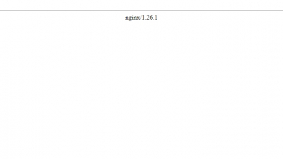 Роскомнадзор сообщил о нежелании Roblox обеспечивать защиту детей в онлайн-игре