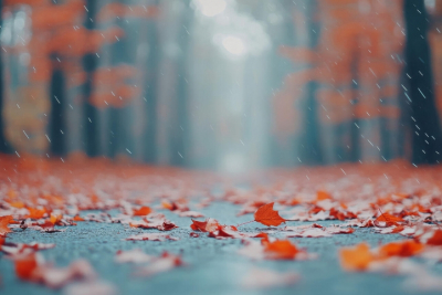 Синоптик Точенова предупредила о сюрпризах погоды в начале октября: обманчивое солнце