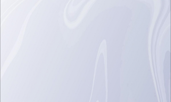 Дмитрий Песков выразил поддержку Татьяне Навке на премьере ледового шоу &quot;История&quot;