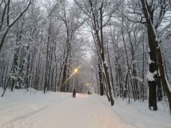 Крещенские морозы в Приморье: температура достигнет &ndash;35 градусов
