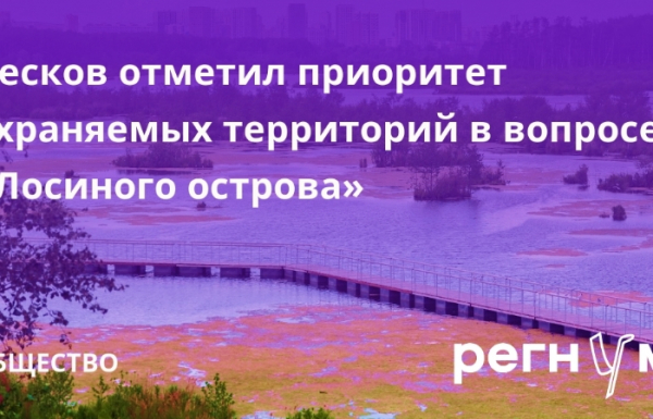 Кремль направил решение по дороге через Лосиный остров на рассмотрение региональных властей
